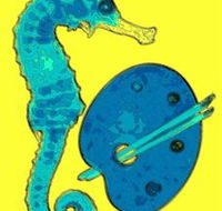 Woolgoolga Art Gallery - Attractions Brisbane