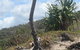 Chinamans Beach Evans Head - thumb 2