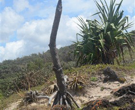 Chinamans Beach Evans Head - Attractions Brisbane 2