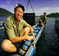 Armstrong Oysters - Attractions Brisbane