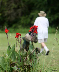 Teven Valley Golf Course - Attractions Brisbane 3