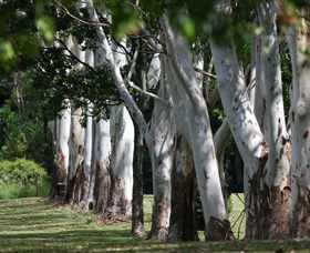 Teven Valley Golf Course - Attractions Brisbane 1