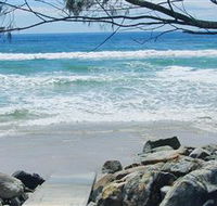 Shark Bay - Attractions Brisbane