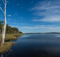 Lake Innes Nature Reserve - Attractions Brisbane