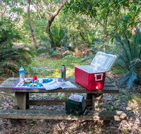 Broadwater Beach picnic area - Attractions Brisbane