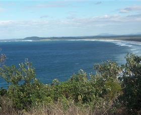 Delicate Beach - Attractions Brisbane 0