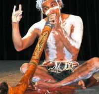 Dhinawan Dreaming - Attractions Brisbane