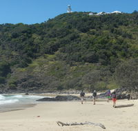 Jack Perkins walking track - Attractions Brisbane