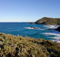 Smoky Cape walking track - Attractions Brisbane
