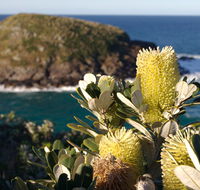 Green Island walking track - Attractions Brisbane