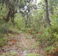 Kinchela Trig Lookout walk - Attractions Brisbane