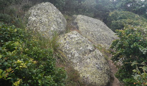 Korogoro Walking Track - Attractions Brisbane 2
