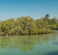 Tyagarah Nature Reserve - Attractions Brisbane