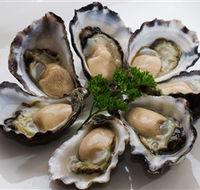 Tathra Oysters - Attractions Brisbane