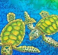 Sea Silks Gallery - Attractions Brisbane