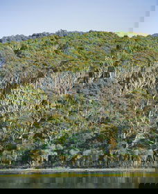 Ben Boyd National Park - Attractions Brisbane 5