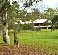 Pambula Merimbula Golf Club - Attractions Brisbane