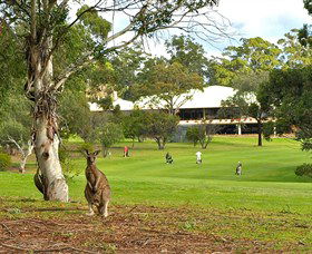 Pambula Merimbula Golf Club - Attractions Brisbane 0