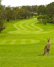 Pambula Merimbula Golf Club - Attractions Brisbane 2