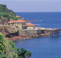 Merimbula Aquarium - Attractions Brisbane