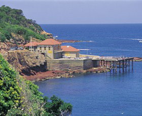 Merimbula Aquarium - Attractions Brisbane 0