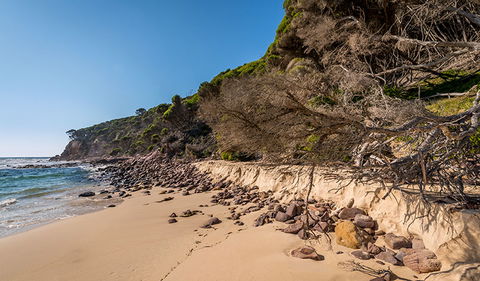 Terrace Beach And Lennards Island - Attractions Brisbane 2