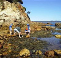 Sapphire Coast Marine Discovery Centre - Attractions Brisbane