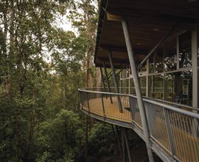  Attractions Brisbane