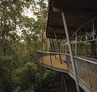 Tarkine Forest Adventures - Dismal Swamp - Attractions Brisbane