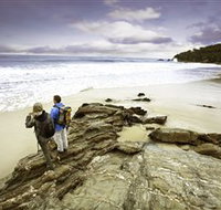 Wilderness Coast Walk - Attractions Brisbane