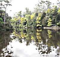 Arthur River - Attractions Brisbane