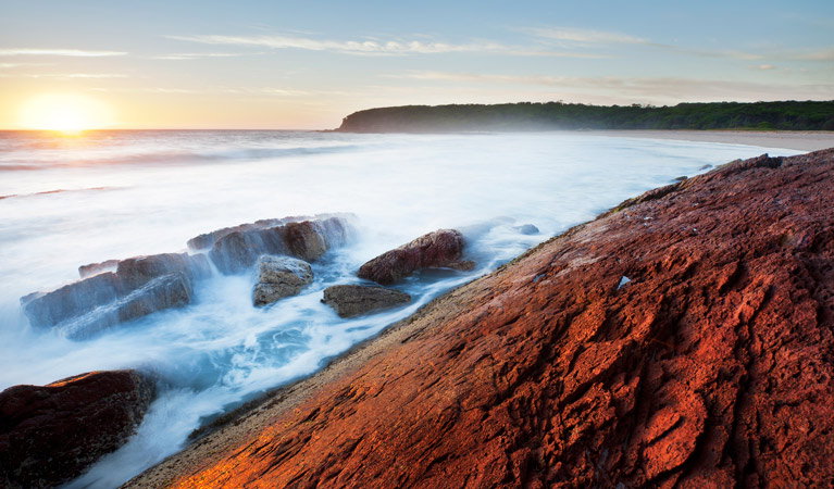 Edrom NSW Attractions Brisbane