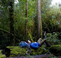 The Tarkine Drive - Attractions Brisbane