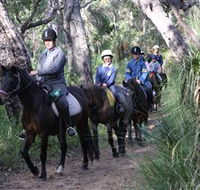 Mirravale Horse Riding School - Attractions Brisbane