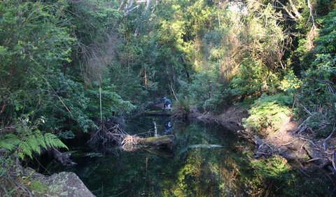 Nadgee Nature Reserve - Attractions Brisbane 2