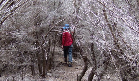 Nadgee Nature Reserve - Attractions Brisbane 3