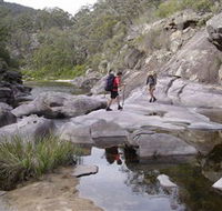 Nadgee Wilderness Walk - Attractions Brisbane