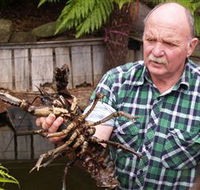 Lobster Ponds - Attractions Brisbane