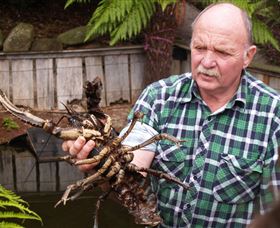 Lobster Ponds - Attractions Brisbane 0