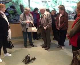 Lobster Ponds - Attractions Brisbane 1