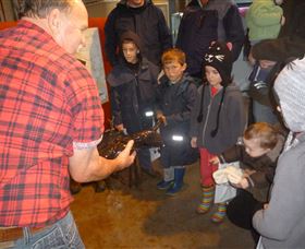 Lobster Ponds - Attractions Brisbane 3