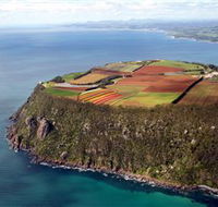 Table Cape - Attractions Brisbane