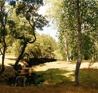 Oldina Picnic Area - Attractions Brisbane