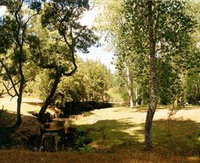 Oldina Picnic Area
