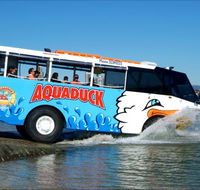 Aquaduck Safaris - Attractions Brisbane