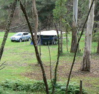 Goomburra Forest Retreat - Attractions Brisbane
