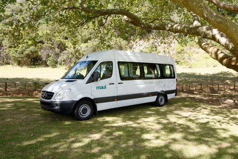 Maui Motorhomes - Attractions Brisbane 6