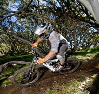 All Terrain Cycles - Attractions Brisbane