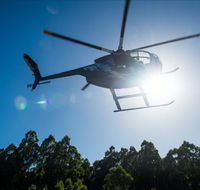 Tall Timbers Adventure Tours - Attractions Brisbane