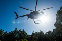 Tall Timbers Adventure Tours